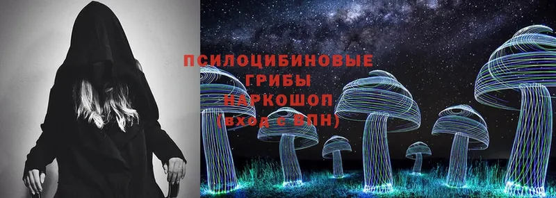 купить наркотики сайты  Петровск-Забайкальский  Псилоцибиновые грибы Magic Shrooms 